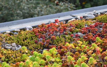 the cost of Horton Green green roof installation