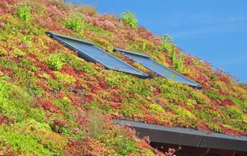 Horton Green living roof systems